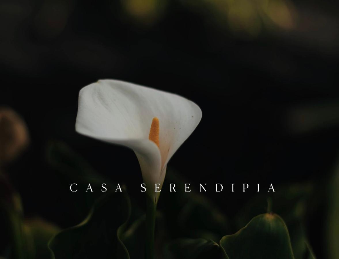 Casa Serendipia La Asomada  Kültér fotó